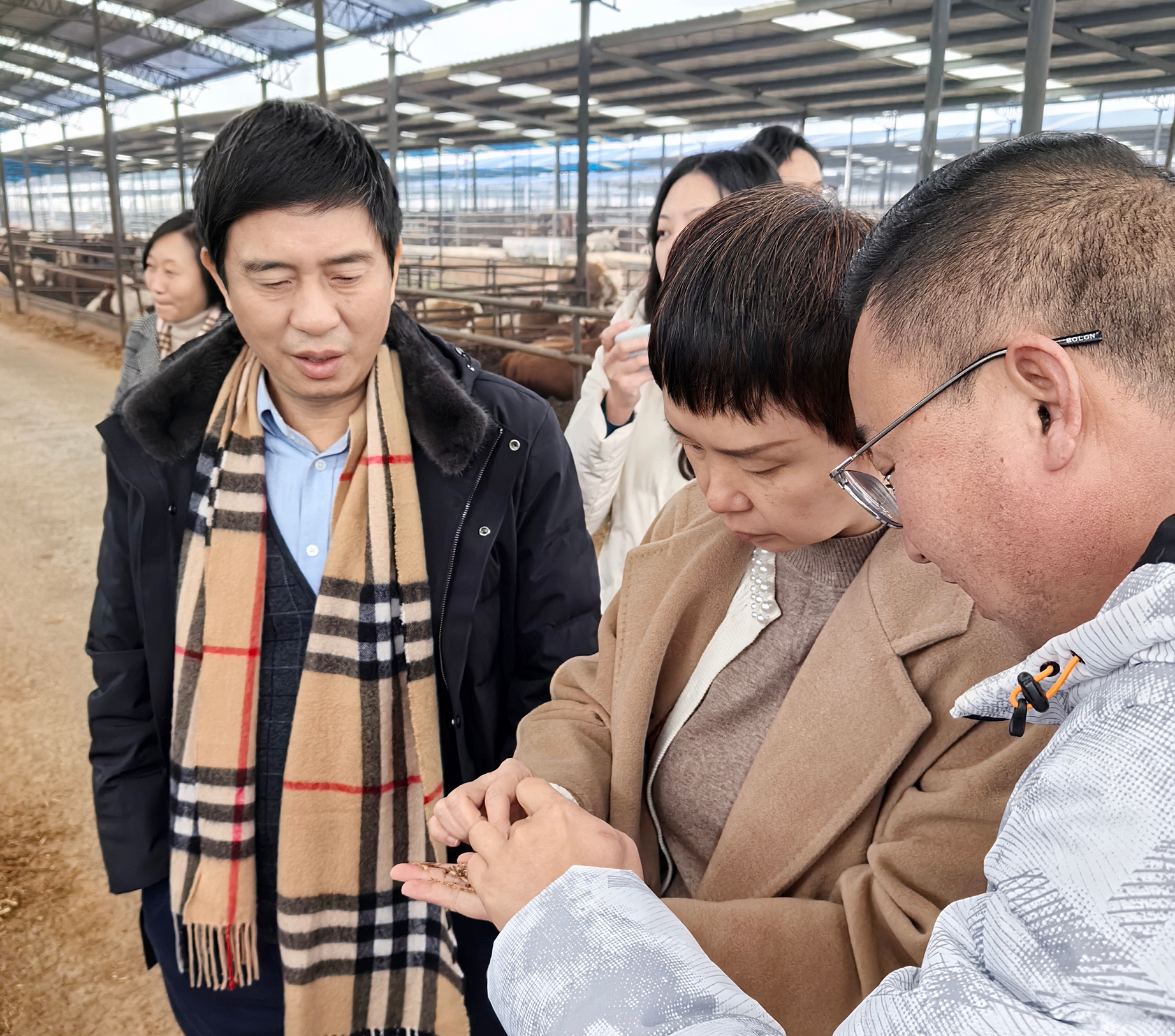 &#121;&#105;&#98;&#111;&#20159;&#21338;&#40;&#20013;&#22269;&#41;&#23448;&#26041;&#32593;&#31449;&#45;&#30331;&#24405;&#20837;&#21475;